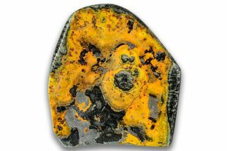 Very Vibrant, Free-Standing Polished Bumblebee Jasper #324950