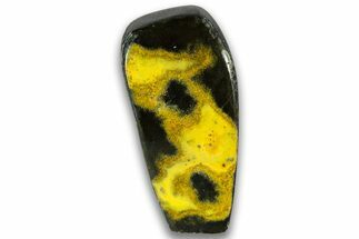 Very Vibrant, Free-Standing Polished Bumblebee Jasper #324969
