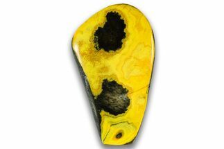 Very Vibrant, Free-Standing Polished Bumblebee Jasper #324970