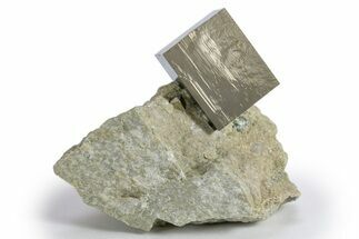 Two Natural Pyrite Cubes In Rock - Navajun, Spain #325008