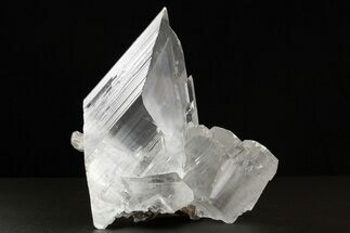 Glassy Selenite Crystal Cluster - Naica Mine, Mexico #325058