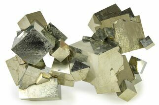 Incredible Natural Pyrite Cube Cluster - Navajun, Spain #325091