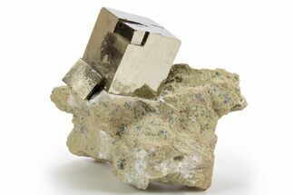 Two Lustrous Natural Pyrite Cube In Rock - Navajun, Spain #325103