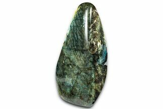 Flashy, Free-Standing Polished Labradorite - Madagascar #325154