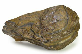 Banded Iron Formation Section - Billion Years #325787