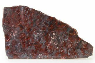 Polished Stromatolite (Collenia) Slab - Minnesota #326047