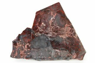 Polished Stromatolite (Collenia) Slab - Minnesota #326058