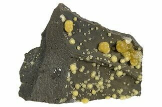 Globular Yellow Calcite Formations on Basalt - Italy #325615