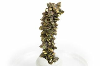 Glistening Marcasite Crystal Stalactite - Linwood Mine, Iowa #326020