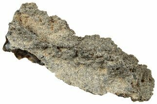 Fulgurite - Petrified Lightning #326103