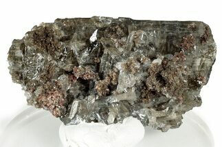 Reticulated (Twinned) Cerussite Crystal Cluster - Congo #326570