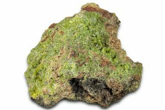 Apple-Green Pyromorphite on Matrix - Congo #326583