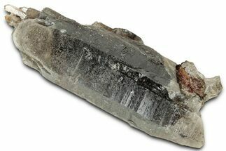 Lustrous Smoky Quartz Crystal - Interesting Terminations #326642