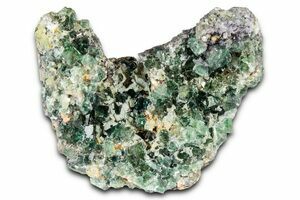 Jinsiy aloqa va oqituvchi