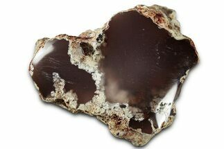 Agate Replaced Petrified Wood Limb Cast - Nevada #326675