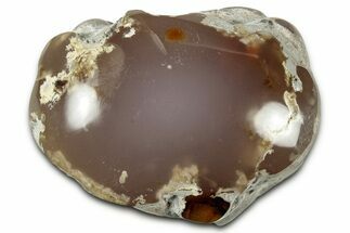 Pink Agate Replaced Petrified Wood Limb Cast - Nevada #326678