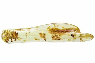 Polished Colombian Copal ( g) - Contains Termites! #326743