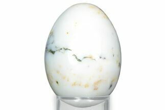 Polished Moss Agate Egg - Australia #326803
