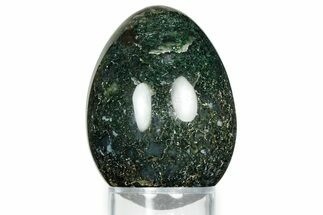 Polished Green Moss Agate Egg - India #326812