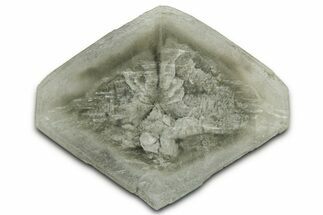 Selenite Crystal - Elder County, Utah #326995