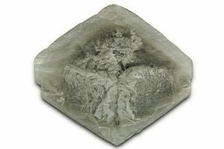 Selenite Crystal - Elder County, Utah #327006