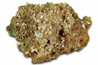 Wulfenite & Green Botryoidal Mimetite Association - Mexico #327470
