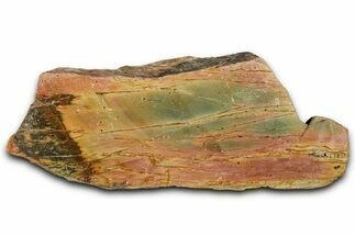 Polished Cherry Creek Jasper - China #326033