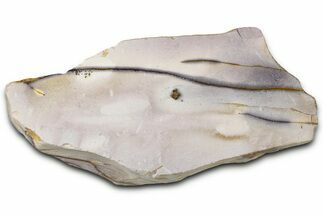 Pink Polished Mookaite Jasper Slice - Australia #328318