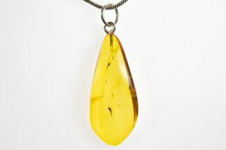 Polished Baltic Amber Pendant (Necklace) - Contains Two Flies! #328465