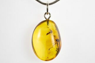 Polished Baltic Amber Pendant (Necklace) - Contains Fly! #328472