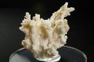 Intricate, Fluorescent Aragonite Formation - Nevada #327483