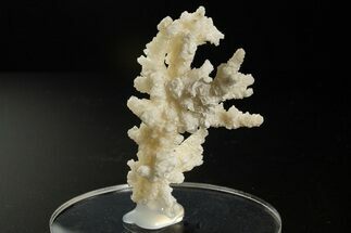 Intricate, Fluorescent Aragonite Formation - Nevada #327499