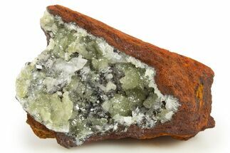 Sparkling Adamite Crystals on Matrix - Ojuela Mine, Mexico #327104
