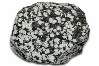 Snowflake Obsidian Section - Utah #327116