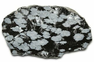 Snowflake Obsidian Section - Utah #327122