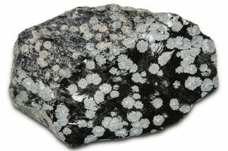 Snowflake Obsidian Section - Utah #327123
