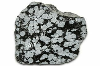 Snowflake Obsidian Section - Utah #327136