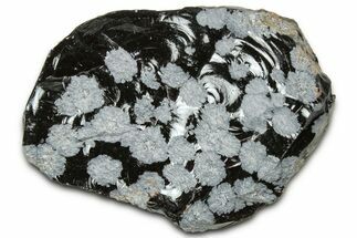 Snowflake Obsidian Section - Utah #327139