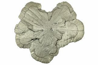 Pyrite Sun - Sparta, Illinois #316010