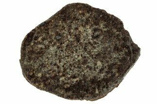 Polished Gold Basin Chondrite Meteorite Slice ( g) - Arizona #329356