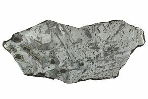 Odessa Iron Meteorite For Sale - FossilEra.com