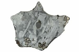 spicygem Meteorite 2個セット spicygem Meteorite 2個セット spicygem