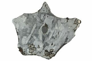 Etched Odessa Iron Meteorite End-Cut ( g) - Texas #329374