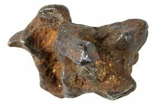 Pallasite Meteorites For Sale