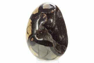 Septarian Dragon Egg Geode - Sparkly Black Crystals #329486
