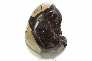 Septarian Dragon Egg Geode - Sparkly Black Crystals #329490