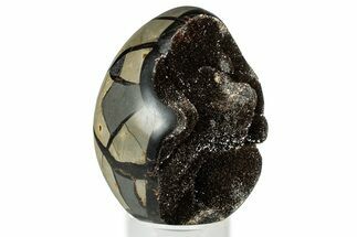 Septarian Dragon Egg Geode - Sparkly Black Crystals #329498