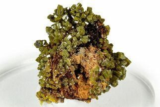 Lustrous Forest-Green Pyromorphite Crystal Cluster - China #330058