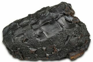 Dragon Scale Stone (Iron, Manganese, Siderite Nodule) #330280