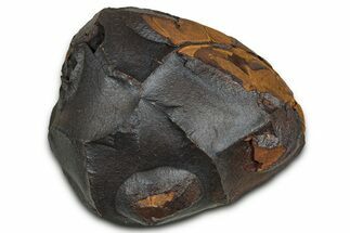 Dragon Scale Stone (Iron, Manganese, Siderite Nodule) #330283